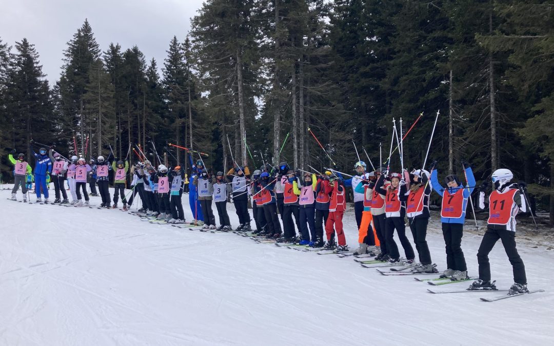 Nadaljevalni smučarski tečaj na Rogli